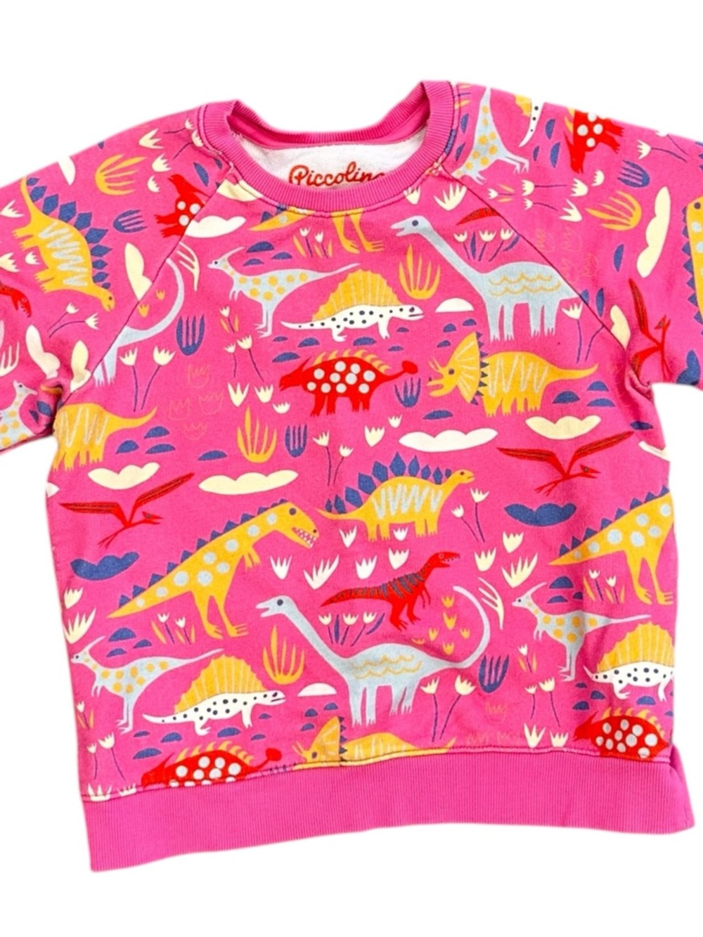 Piccolina Crewneck Sweatshirt Pink Dinosaur Kids Girl’s Size 6 100% Cotton Peru